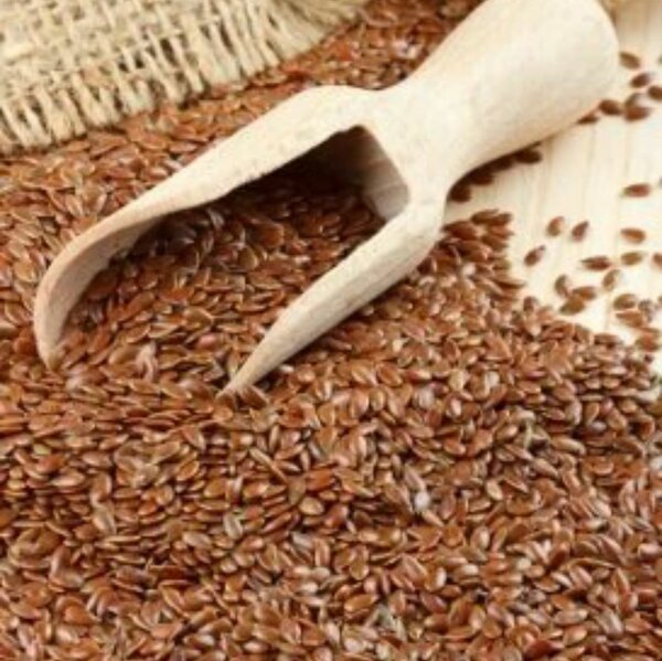 Graines de lin biologiques