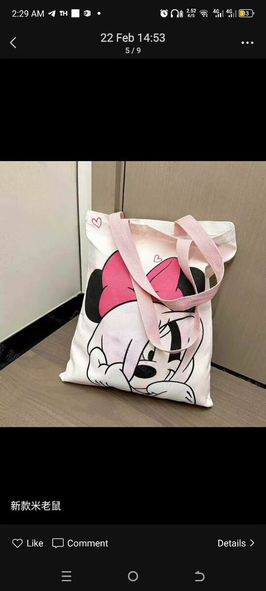 Cute Canvas Tote Bag