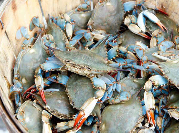 Crabe de mer et eau douce kilo
