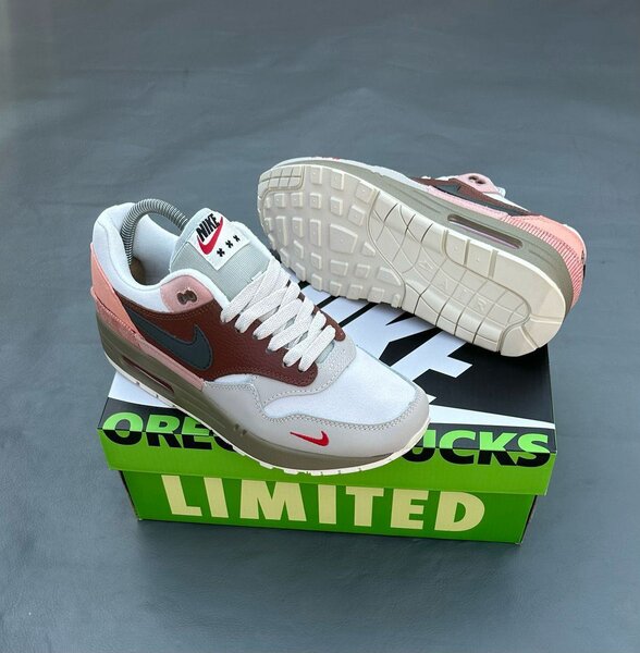 Nike Air Max Sneakers limitées