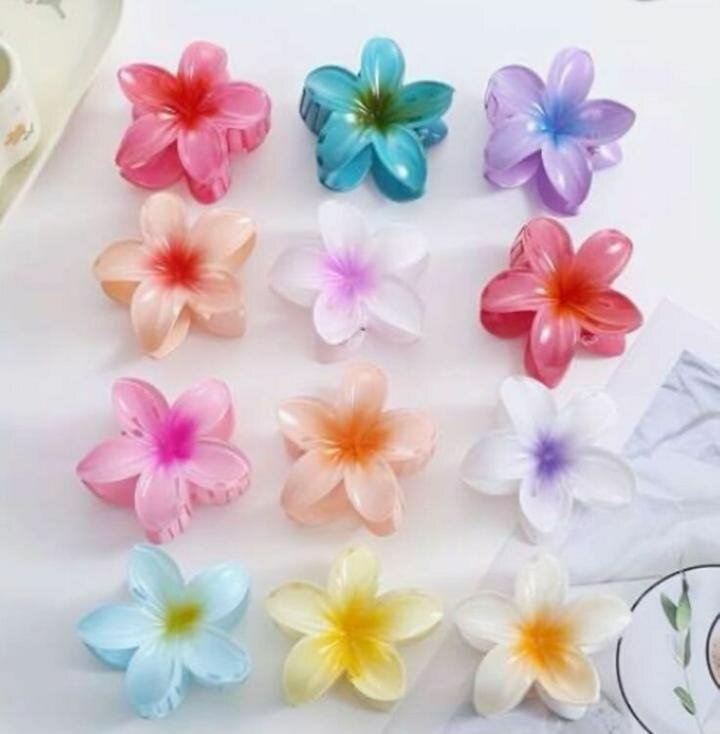 Pinces à cheveux fleurs colorées