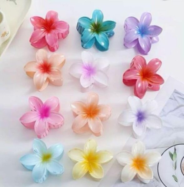Pinces à cheveux fleurs colorées