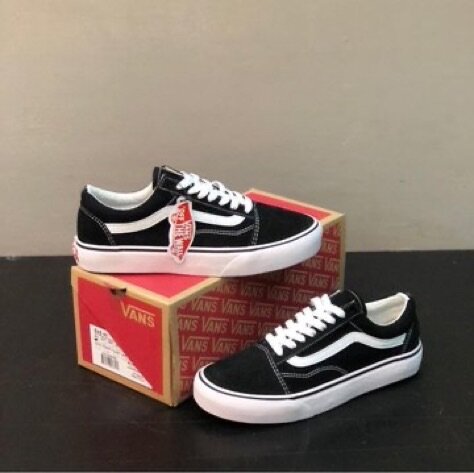 Vans in Box ( 315 )