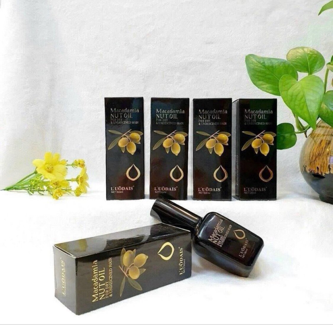 Huile de Macadamia Cheveux