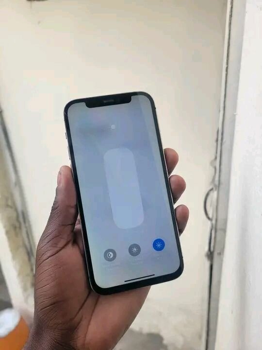 Smartphone dernier modèle puissant