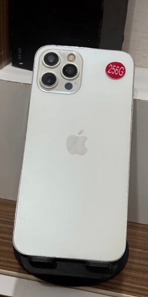 iPhone 12 Pro Max 256 Go