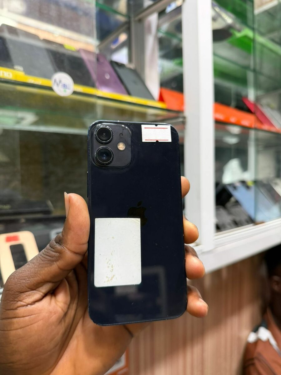 12 mini 64Go tout est dorigin