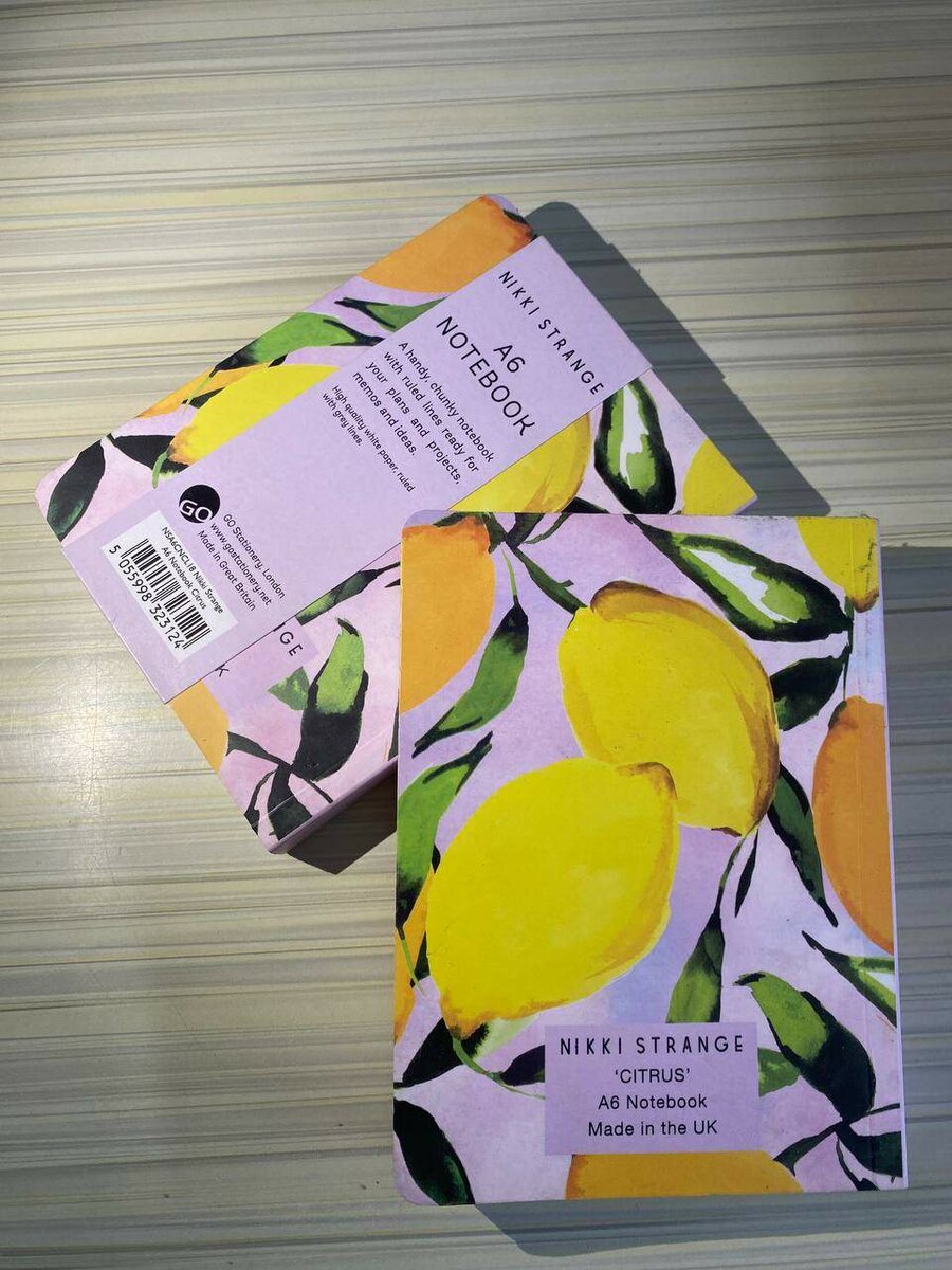 Carnet A6 Journal Intemporel