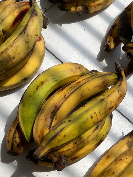 Bananes fraîches bio