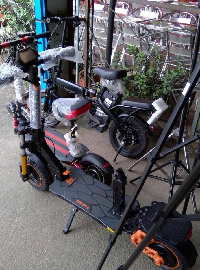 Trottinette Électrique MS Pro