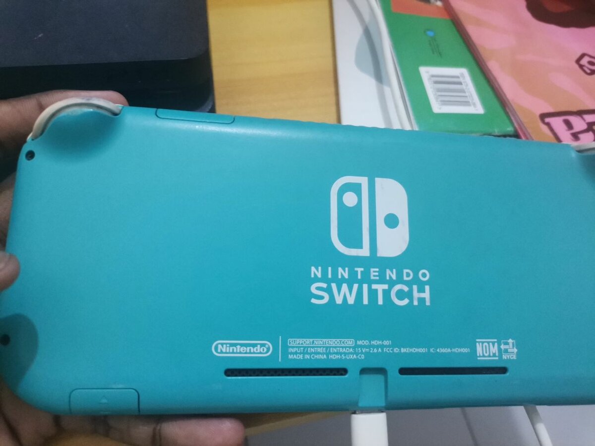 Nintendo switch lite