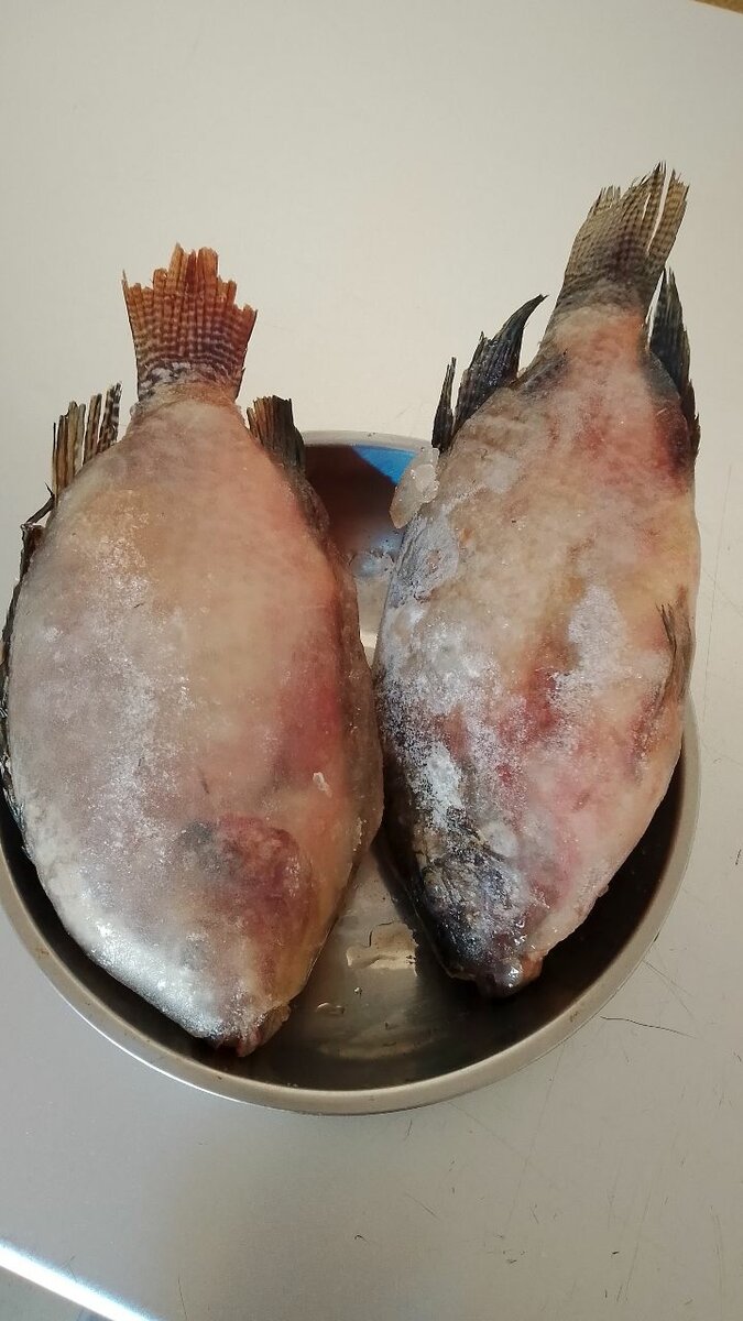 Tilapia fraîche