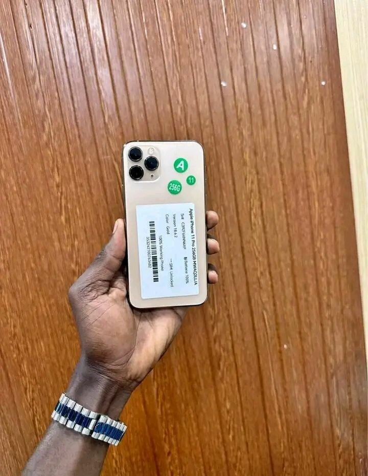 iPhone 11 Pro Max 256 Go