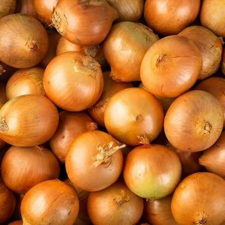 Oignons Jaunes Frais