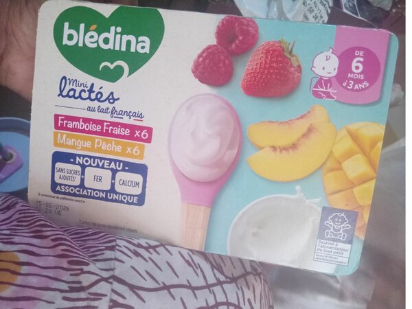 Blédina Mini Lactés Fruits