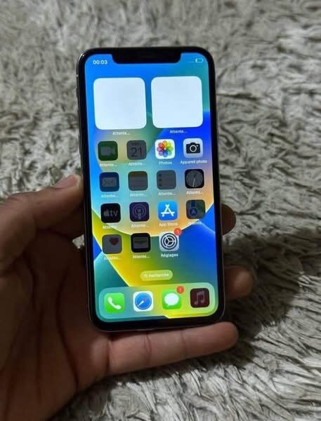 iPhone X 64 Go Gris Argenté
