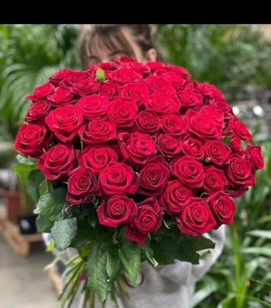 Bouquet de roses rouges