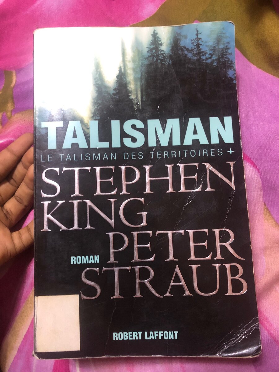 Roman de peter straub