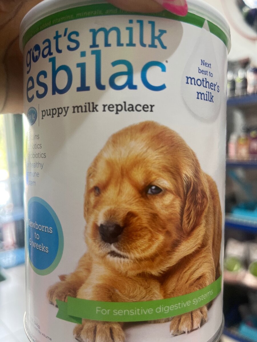 Dog goat milk