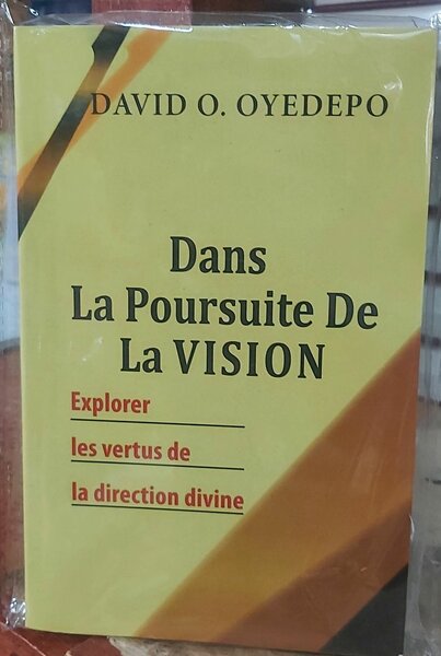 Dans La Poursuite De La VISION