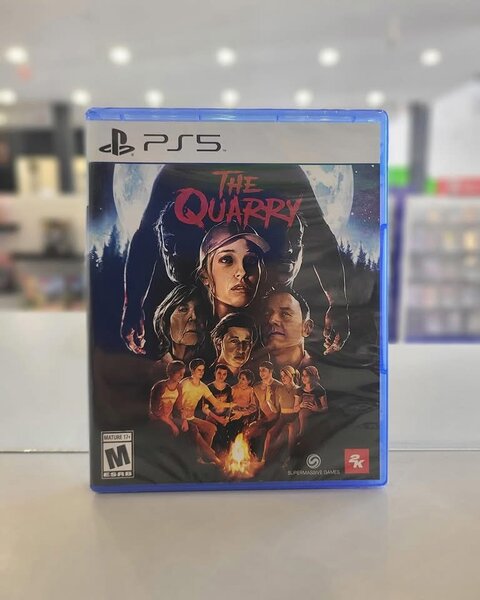 PS5 The Quarry RPG