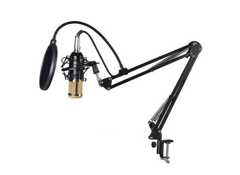 Micro à condensateur BM 800