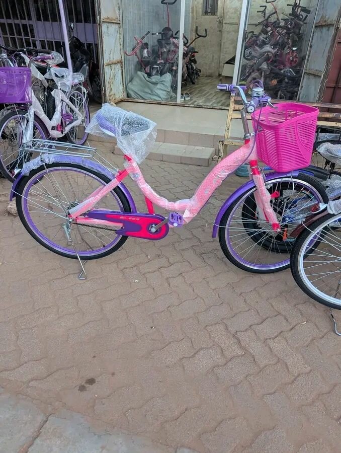 Vélo de ville élégant