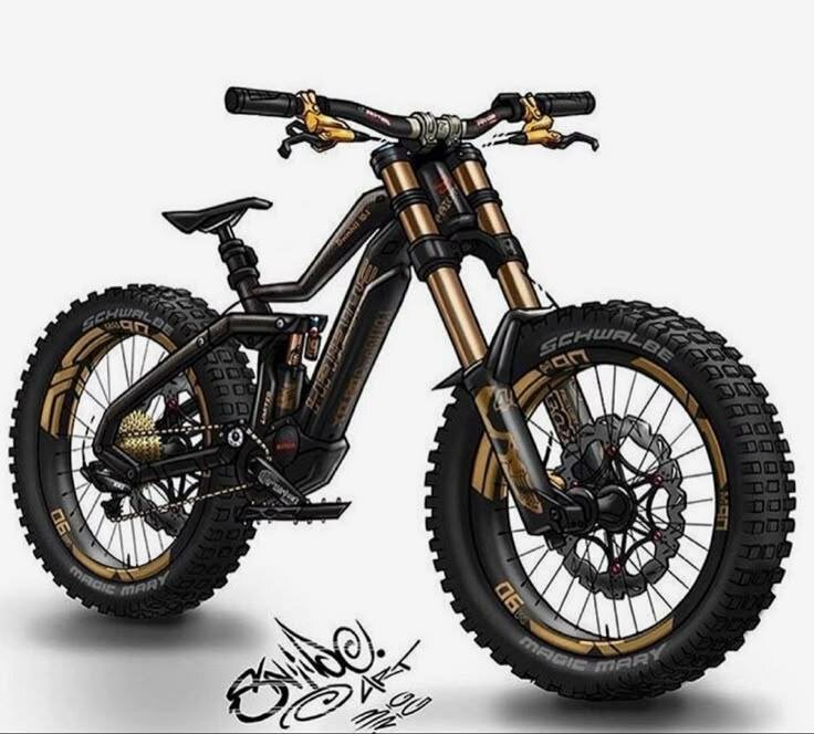 Vélo tout-terrain robuste