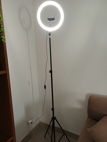 Lampe Anneau LED 12 pouces