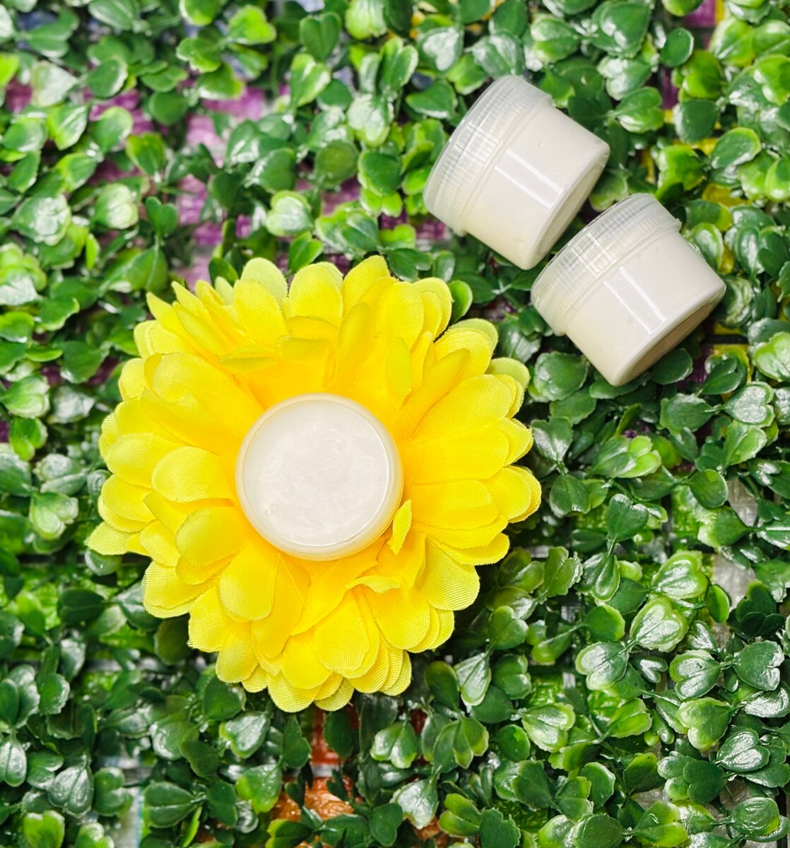 Crème Visage Nourrissante