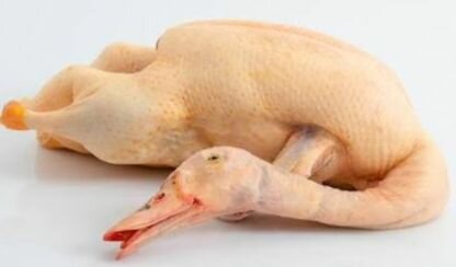 Canard entier frais prêt à cuisiner