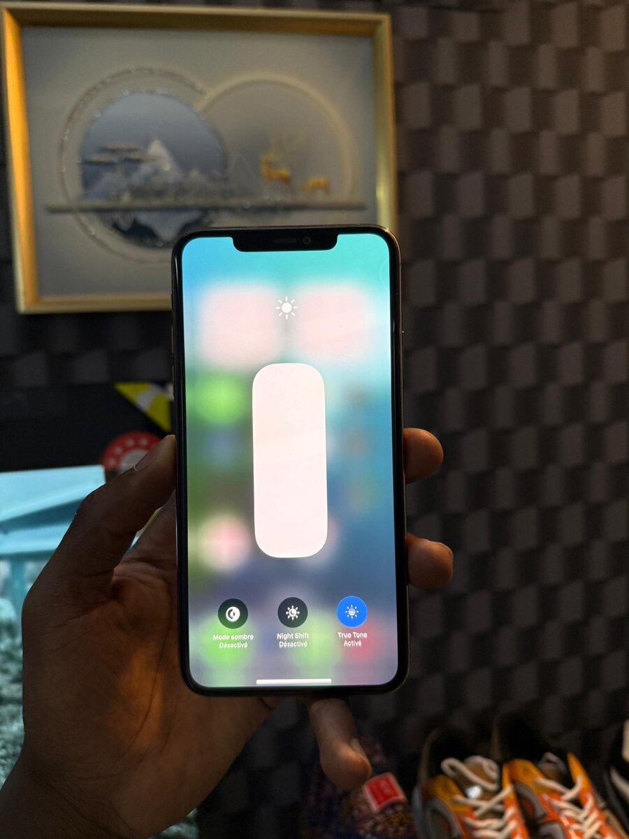 iPhone 11pro Max 256 giga