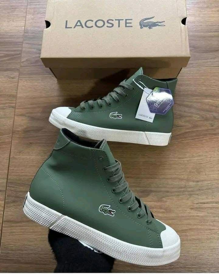 Sneakers montante Lacoste