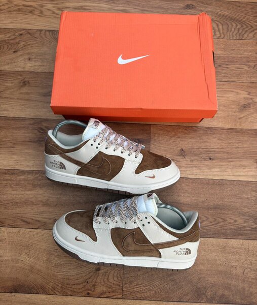 Baskets Nike x The North Face