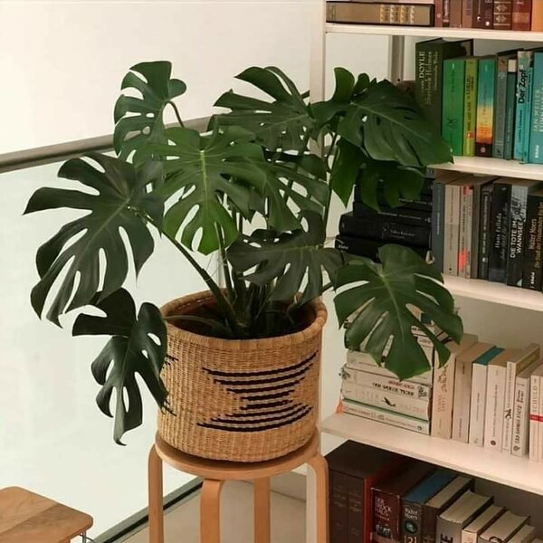 Hand woven Decor baskets