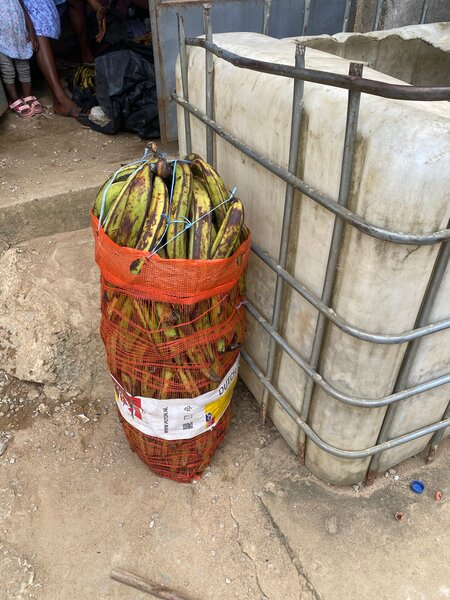 Bananes Plantains Fraîches