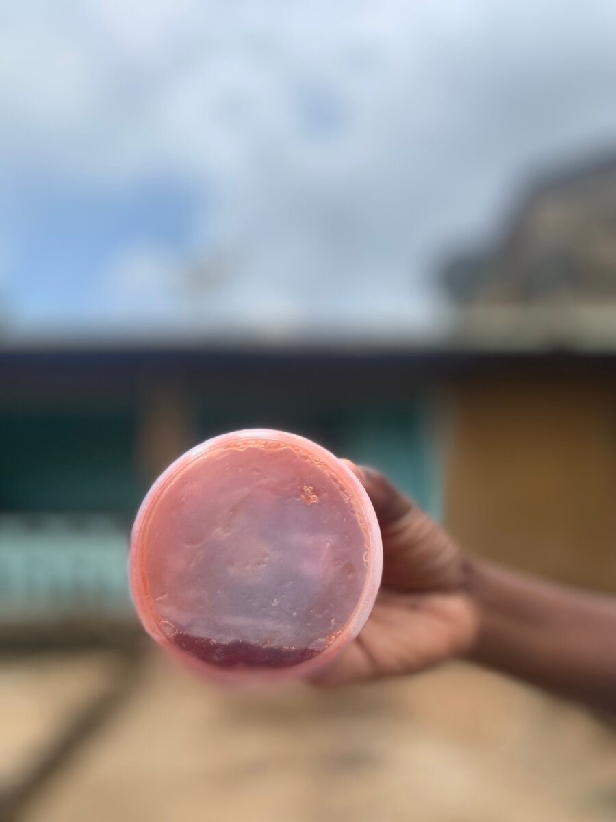 Savon Artisanal Naturel