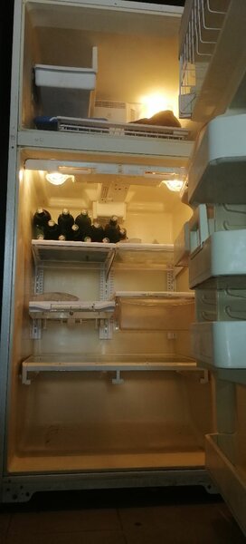 REFRIGERATOR AND FREEZER FRIDGE