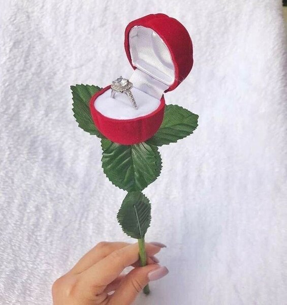 Boîte à bijou rose rouge