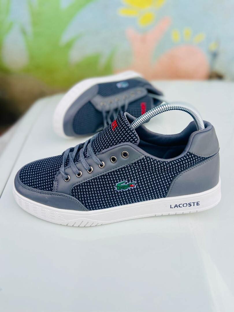 Basket Lacoste
