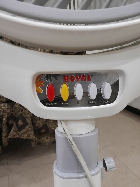 Royal pedestal fan