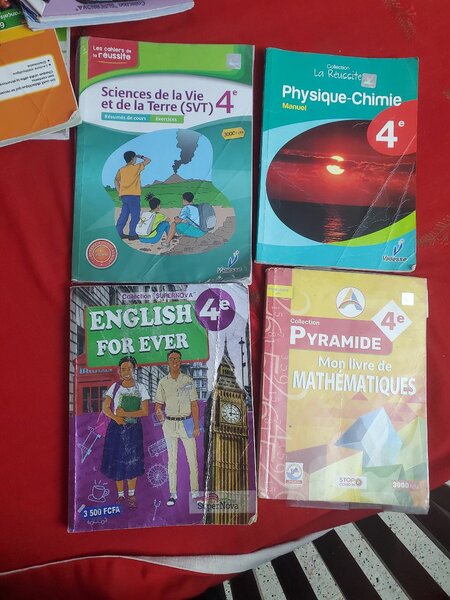 Lot de manuels scolaires 4e