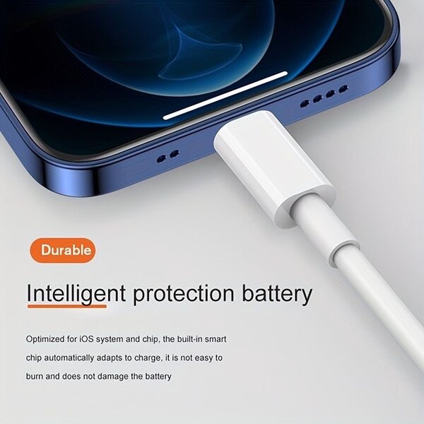 Chargeur iPhone authentique