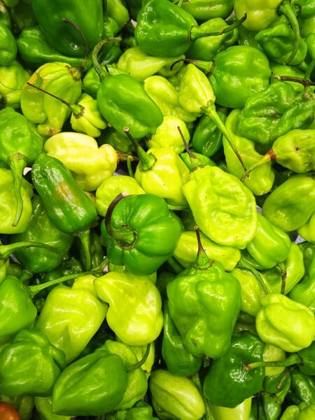 Piments garba 1 280 f / kg