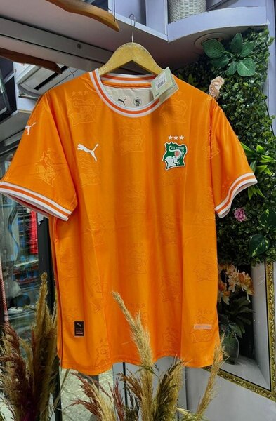 Maillot Côte d'Ivoire Puma