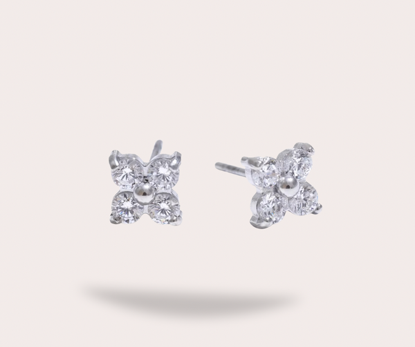 Boucles d´oreilles argentées