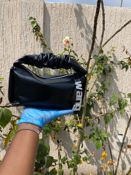 Alexander wang Bag