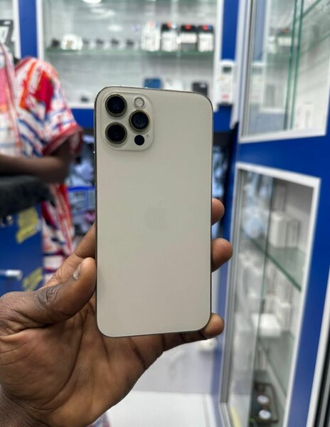 iPhone 13 Pro Max d'occasion