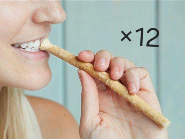 Bâtons de Siwak Naturels