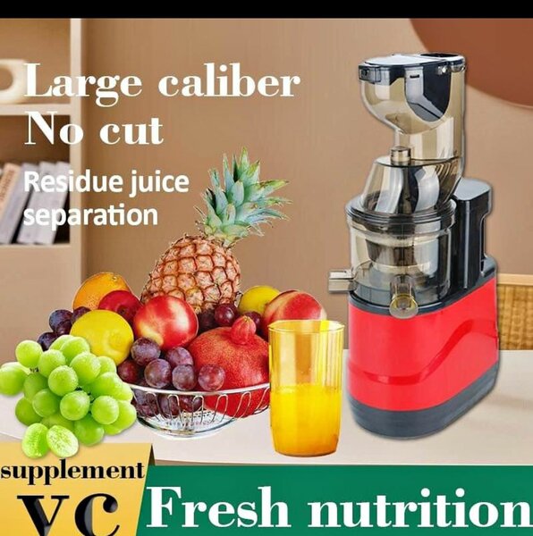 Slow juicer